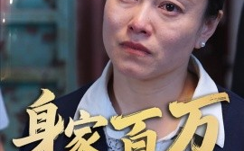 短剧《身家百万我却无法回家（30集）战蜂蜂&刘子铭 (2025)》全集免费在线观看