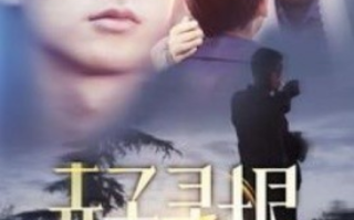 短剧《赤子寻根（100集全）》免费观看