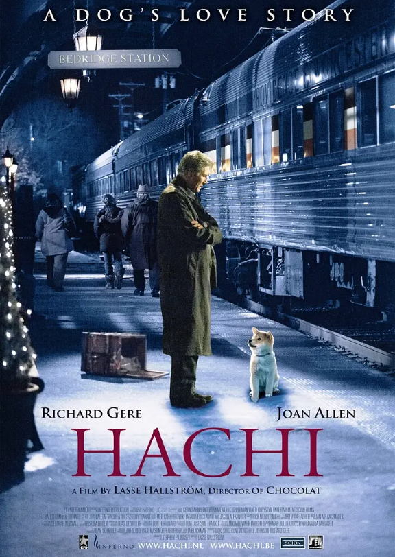 电影《忠犬八公的故事》高清HD1080p完整版在线免费观看-第1张图片-力界网 电影《忠犬八公的故事》高清HD1080p完整版在线免费观看-第1张图片-力界网