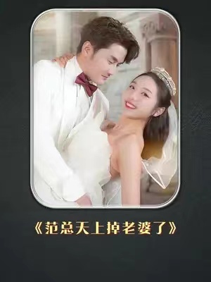 短剧《范总天上掉老婆了》78集全免费观看-第1张图片-力界网 短剧《范总天上掉老婆了》78集全免费观看-第1张图片-力界网