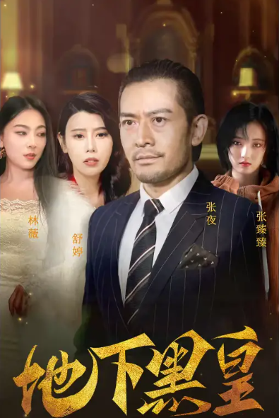 短剧《地下黑皇》(1-103集全)免费观看-第1张图片-力界网 短剧《地下黑皇》(1-103集全)免费观看-第1张图片-力界网
