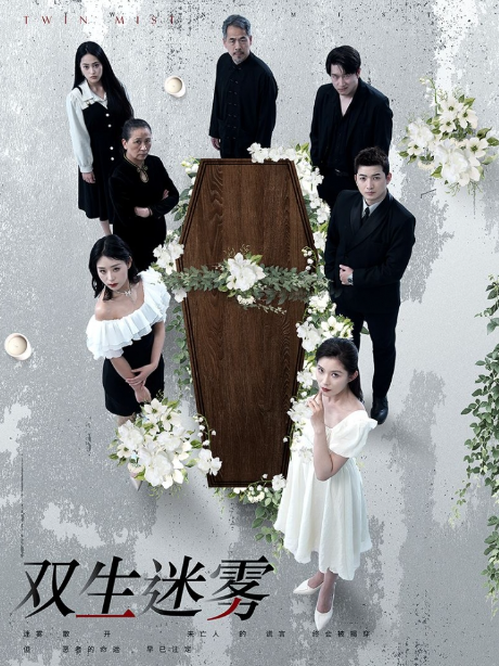 短剧《双生迷雾(80集全)》免费观看-第1张图片-力界网 短剧《双生迷雾(80集全)》免费观看-第1张图片-力界网
