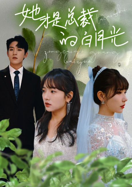 短剧《她才是总裁的白月光(90集全)》免费观看-第1张图片-力界网 短剧《她才是总裁的白月光(90集全)》免费观看-第1张图片-力界网