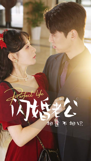 短剧《闪婚老公相逢不相识(90集全)》免费观看-第1张图片-力界网 短剧《闪婚老公相逢不相识(90集全)》免费观看-第1张图片-力界网