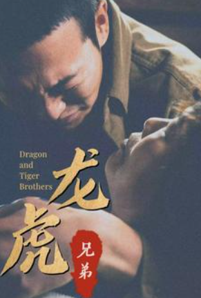 短剧《龙虎兄弟(80集全)》免费观看-第1张图片-力界网 短剧《龙虎兄弟(80集全)》免费观看-第1张图片-力界网