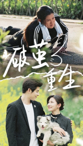 短剧《破茧重生(80集全)》免费观看-第1张图片-力界网 短剧《破茧重生(80集全)》免费观看-第1张图片-力界网