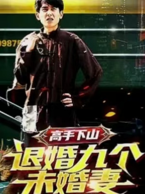 短剧《高手下山,退婚九个未婚妻(100集全)》免费观看-第1张图片-力界网 短剧《高手下山,退婚九个未婚妻(100集全)》免费观看-第1张图片-力界网