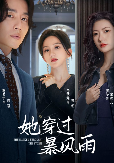 短剧《她穿过暴风雨(71集全)》免费观看-第1张图片-力界网 短剧《她穿过暴风雨(71集全)》免费观看-第1张图片-力界网