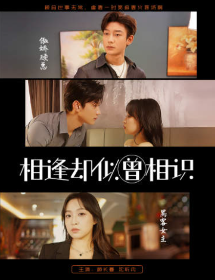 短剧《相逢却似曾相识(离婚后顾太太的马甲藏不住了)》全集免费观看-第1张图片-力界网 短剧《相逢却似曾相识(离婚后顾太太的马甲藏不住了)》全集免费观看-第1张图片-力界网