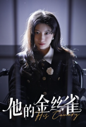 短剧《他的金丝雀(80集全)》免费观看-第1张图片-力界网 短剧《他的金丝雀(80集全)》免费观看-第1张图片-力界网