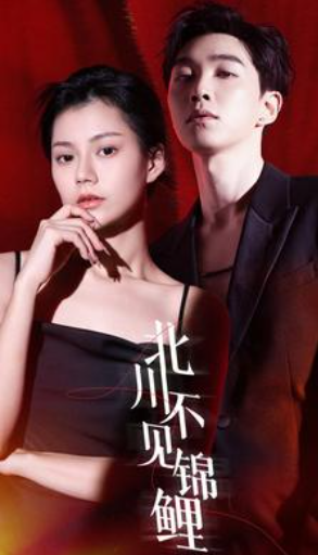 短剧《北川不见锦鲤(72集全)》免费观看-第1张图片-力界网 短剧《北川不见锦鲤(72集全)》免费观看-第1张图片-力界网