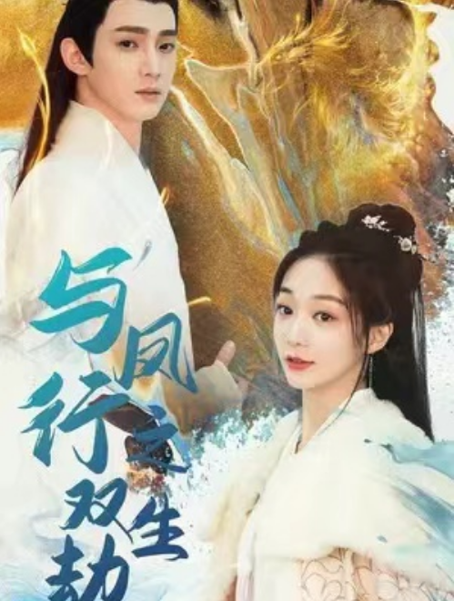 短剧《与凤行之双生劫(84集全)》免费观看-第1张图片-力界网 短剧《与凤行之双生劫(84集全)》免费观看-第1张图片-力界网