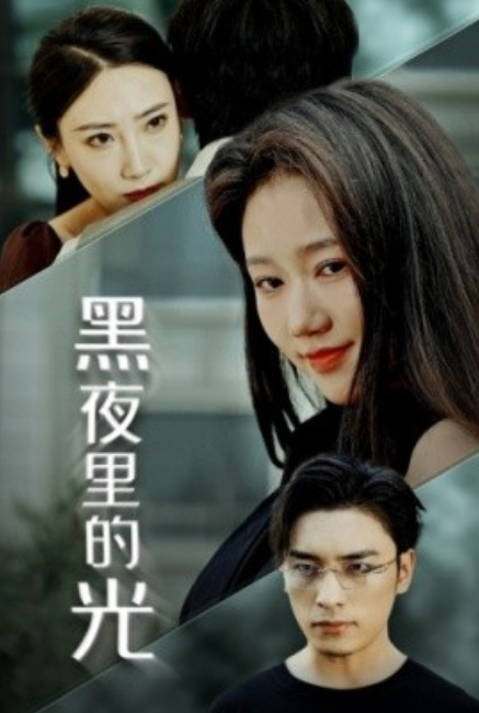短剧《黑夜里的光(43集全)岳雨婷》免费观看-第1张图片-力界网 短剧《黑夜里的光(43集全)岳雨婷》免费观看-第1张图片-力界网