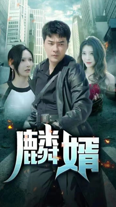 短剧《麟婿(89集全)》免费观看-第1张图片-力界网 短剧《麟婿(89集全)》免费观看-第1张图片-力界网