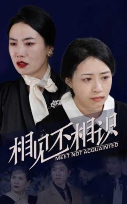 短剧《相见不相识(34集全)》免费观看-第1张图片-力界网 短剧《相见不相识(34集全)》免费观看-第1张图片-力界网