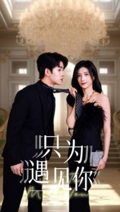 短剧《只为遇见你(88集全)贾博雅》免费观看-第1张图片-力界网 短剧《只为遇见你(88集全)贾博雅》免费观看-第1张图片-力界网