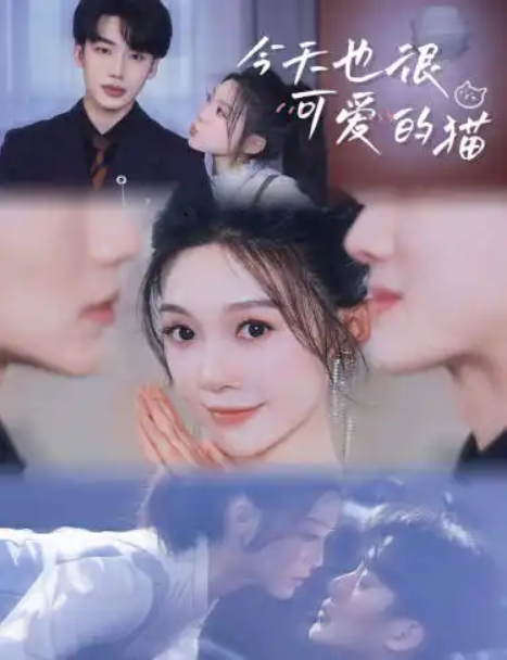 短剧《今天也很可爱的猫(72集全)》免费观看-第1张图片-力界网 短剧《今天也很可爱的猫(72集全)》免费观看-第1张图片-力界网