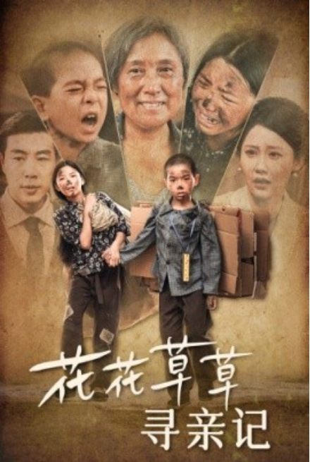 短剧《花花草草寻亲记(42集全)》免费观看-第1张图片-力界网 短剧《花花草草寻亲记(42集全)》免费观看-第1张图片-力界网