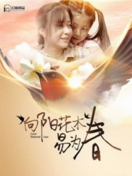 短剧《向阳花木易为春(101集全)》免费观看-第1张图片-力界网 短剧《向阳花木易为春(101集全)》免费观看-第1张图片-力界网