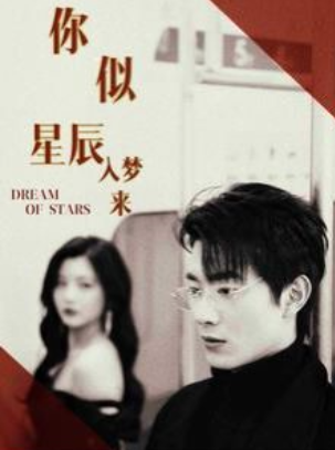 短剧《你似星辰入梦来(105集全)》免费观看-第1张图片-力界网 短剧《你似星辰入梦来(105集全)》免费观看-第1张图片-力界网