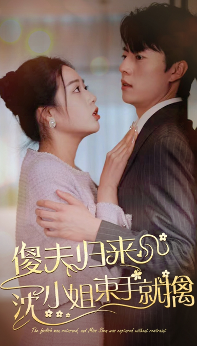 短剧《傻夫归来，沈小姐束手就擒（100集全）》免费观看-第1张图片-力界网