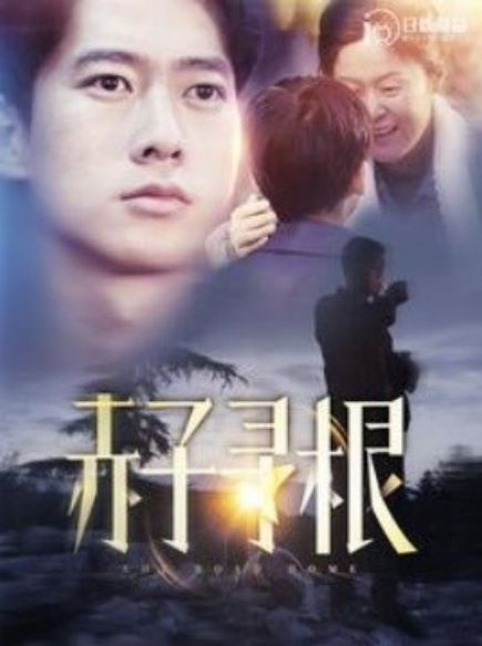 短剧《赤子寻根（100集全）》免费观看-第1张图片-力界网