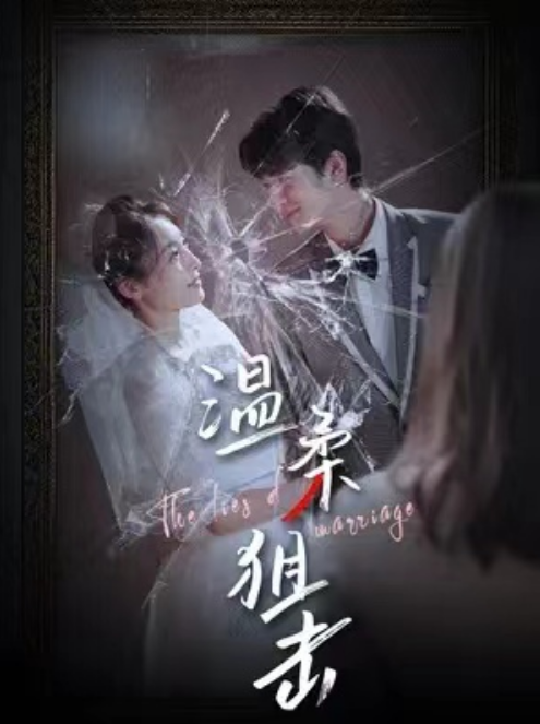短剧《温柔狙击（婚姻迷雾）81集全》免费观看-第1张图片-力界网