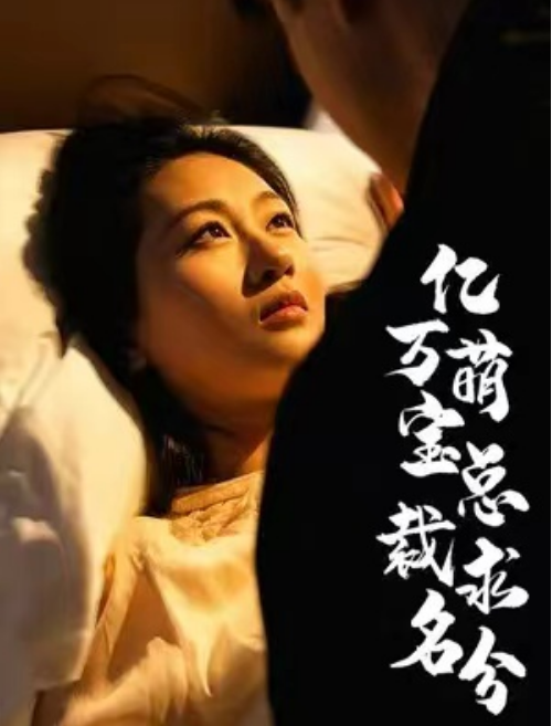 短剧《亿万萌宝总裁求名分（100集全）》免费观看-第1张图片-力界网