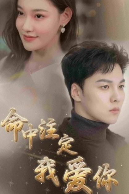 短剧《命中注定我爱你（75集全）》免费观看-第1张图片-力界网