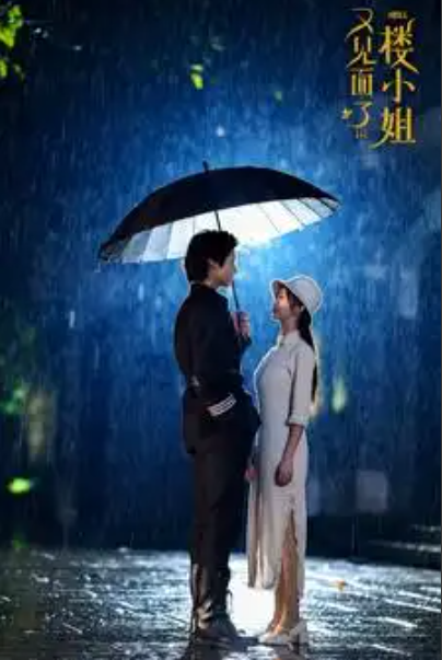 短剧《又见面了楼小姐（68集全）》免费观看-第1张图片-力界网