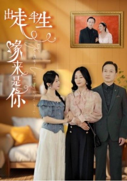 短剧《出走半生缘来是你（83集全）》免费观看-第1张图片-力界网