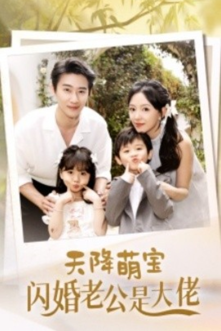 短剧《天降萌宝闪婚老公是大佬（60集全）》免费观看-第1张图片-力界网