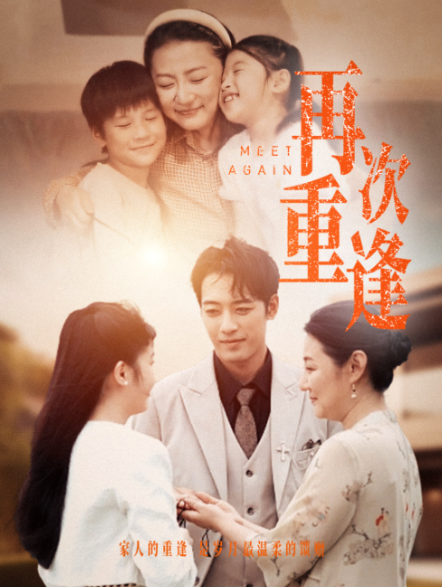 短剧《再次重逢（70集全）》免费观看-第1张图片-力界网