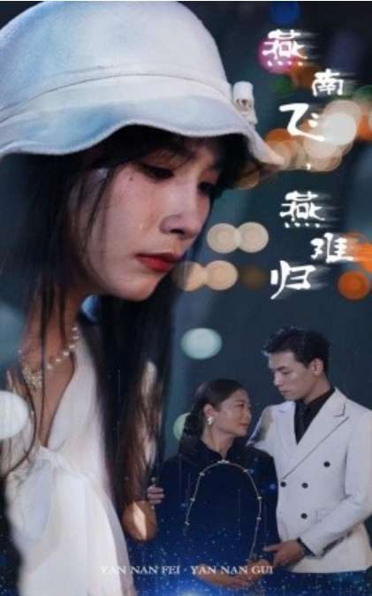 短剧《燕南飞，燕难归（31集全）》免费观看-第1张图片-力界网