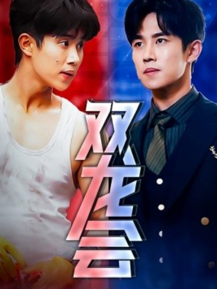短剧《双龙会（92集全）》免费观看-第1张图片-力界网