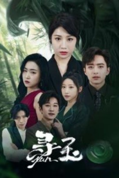 短剧《寻玉（77集全）》免费观看-第1张图片-力界网