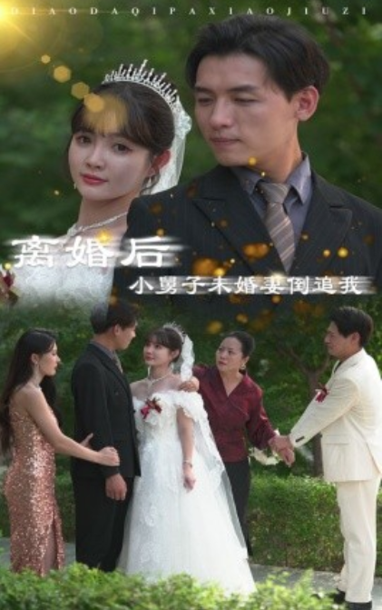 短剧《离婚后，小舅子未婚妻倒追我（30集全）》免费观看-第1张图片-力界网