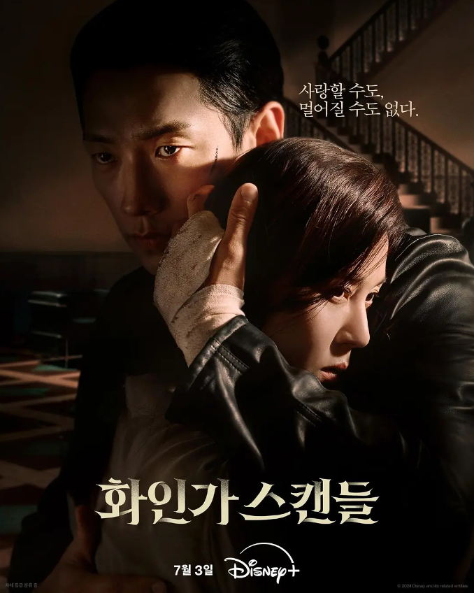韩剧《红天鹅(10集全)》高清HD1080p完整版在线免费观看-第1张图片-力界网 韩剧《红天鹅(10集全)》高清HD1080p完整版在线免费观看-第1张图片-力界网