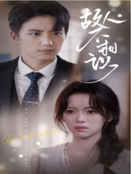短剧《故人不相识（80集全）》免费观看-第1张图片-力界网