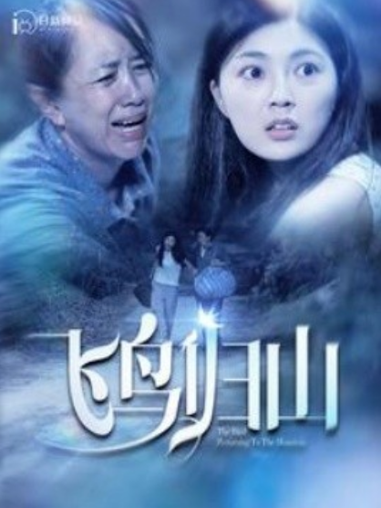 短剧《飞鸟归山（100集全）》免费观看-第1张图片-力界网