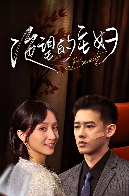 短剧《绝望的主妇（100集全）》免费观看-第1张图片-力界网