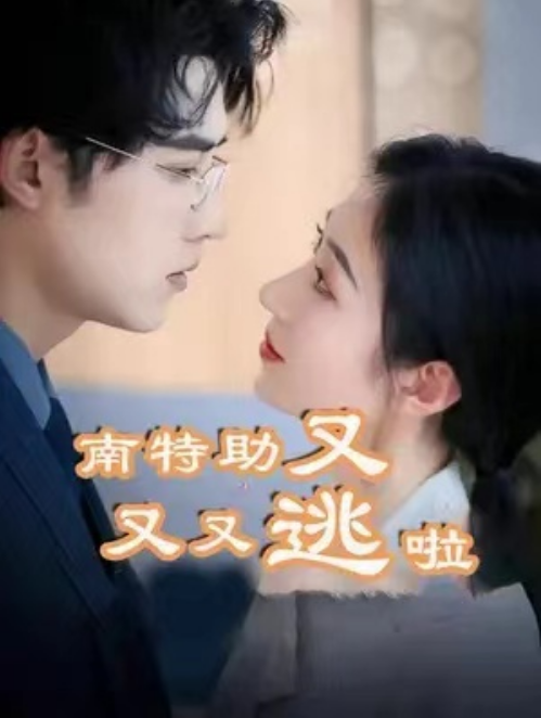 短剧《南特助又又又逃啦（100集全）》免费观看-第1张图片-力界网