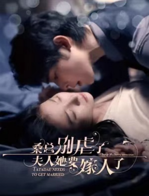 短剧《桑总别虐了，夫人她要嫁人了（100集全）》免费观看-第1张图片-力界网