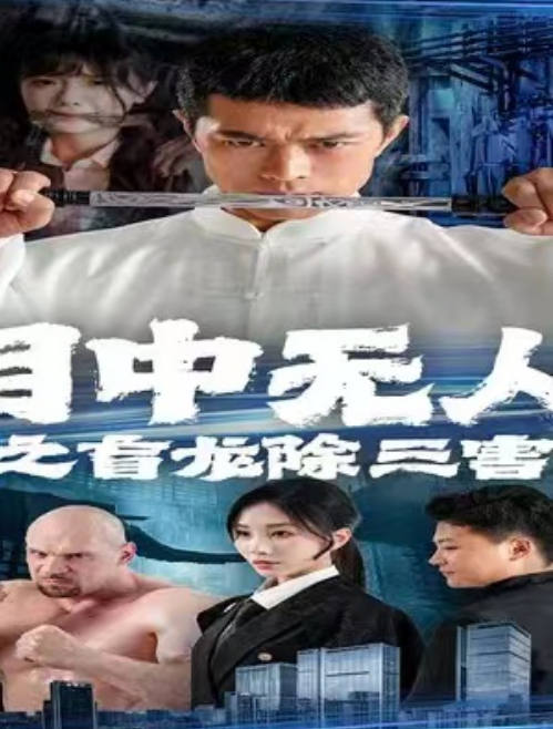 短剧《目中无人之盲龙除三害（65集全）》免费观看-第1张图片-力界网