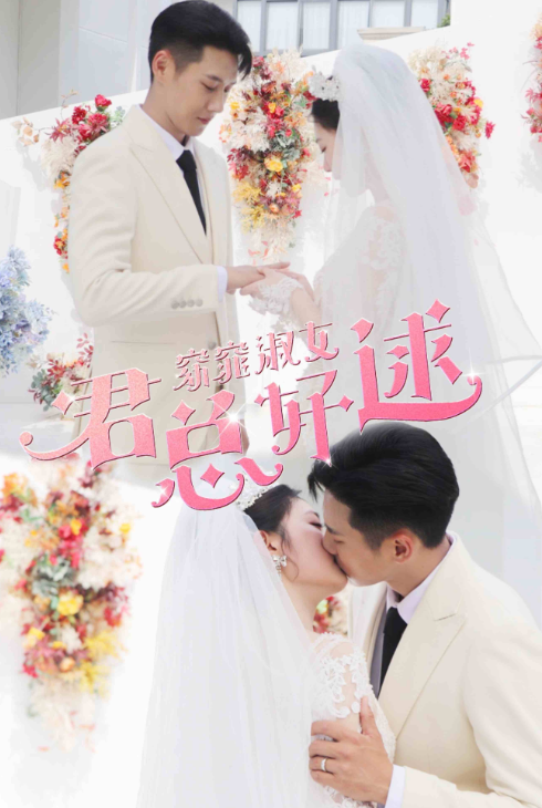短剧《窈窕淑女，君总好逑（85集全）》免费观看-第1张图片-力界网