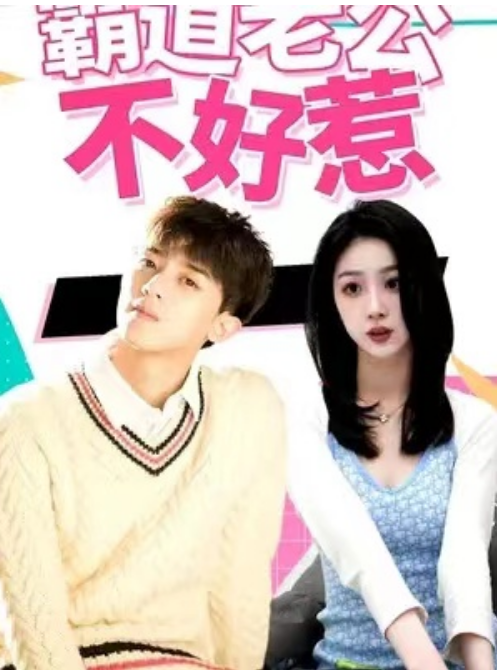 短剧《霸道老公不好惹（89集全）》免费观看-第1张图片-力界网
