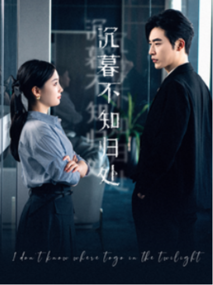 短剧《沉暮不知归处（100集全）》免费观看-第1张图片-力界网