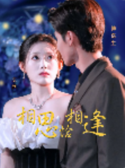 短剧《相思恰相逢（92集全）》免费观看-第1张图片-力界网