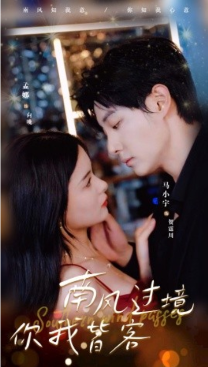 短剧《南风过境你我皆客（80集全）》免费观看-第1张图片-力界网