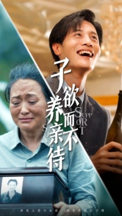 短剧《子欲养而亲不待（42集全）》免费观看-第1张图片-力界网